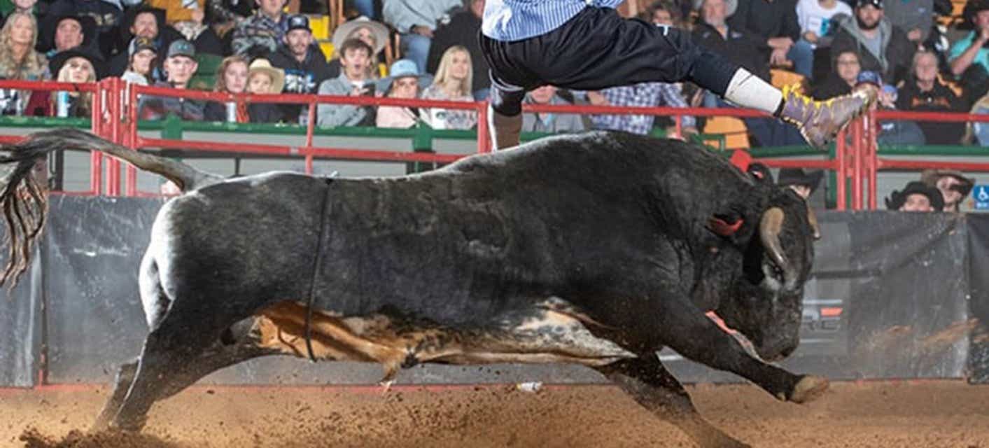 Ultimate Bullfighters Tickets