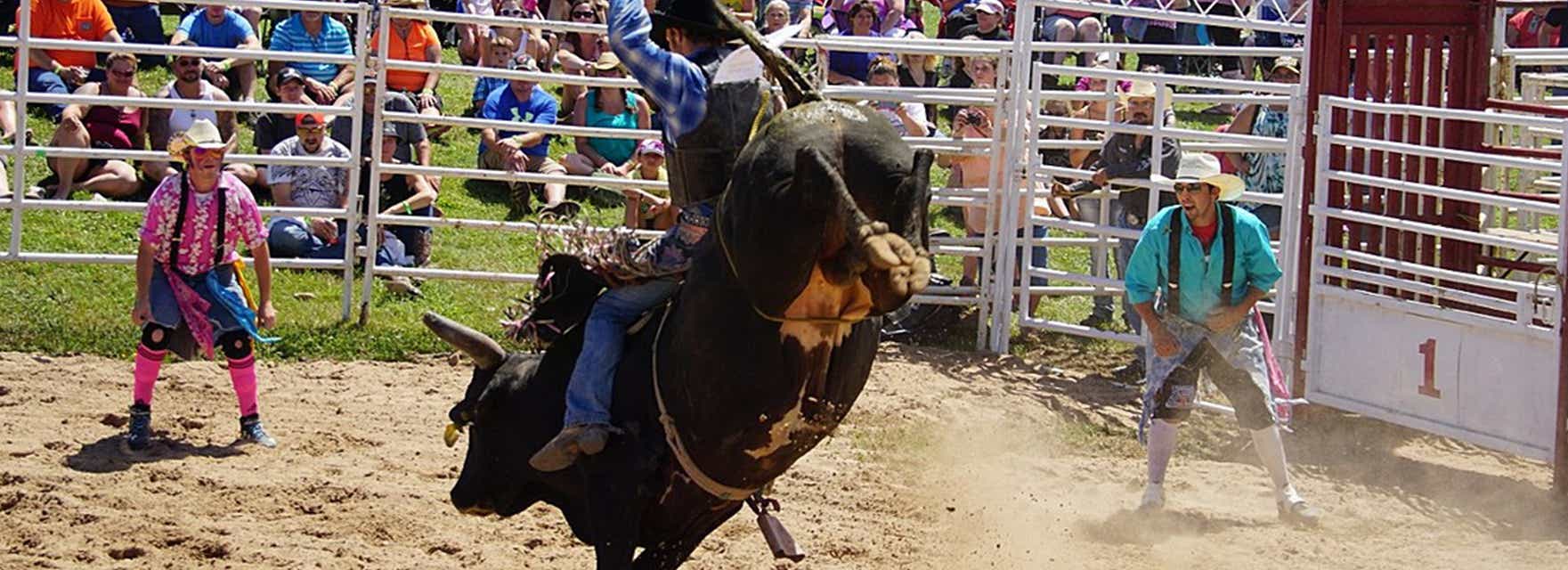 Utica Stampede Rodeo and Expo Tickets