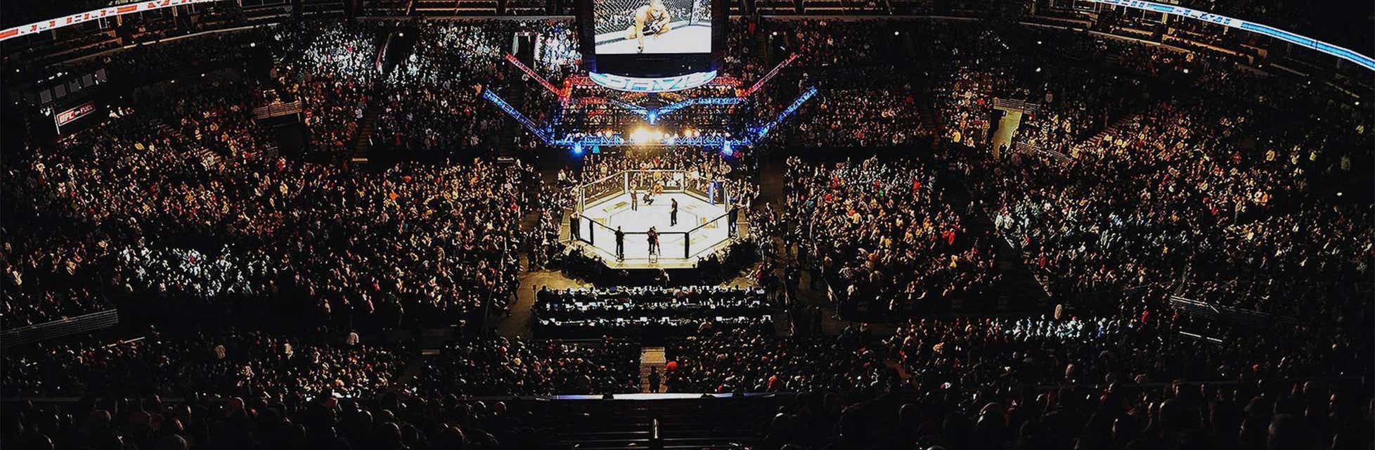 UFC 276 Tickets