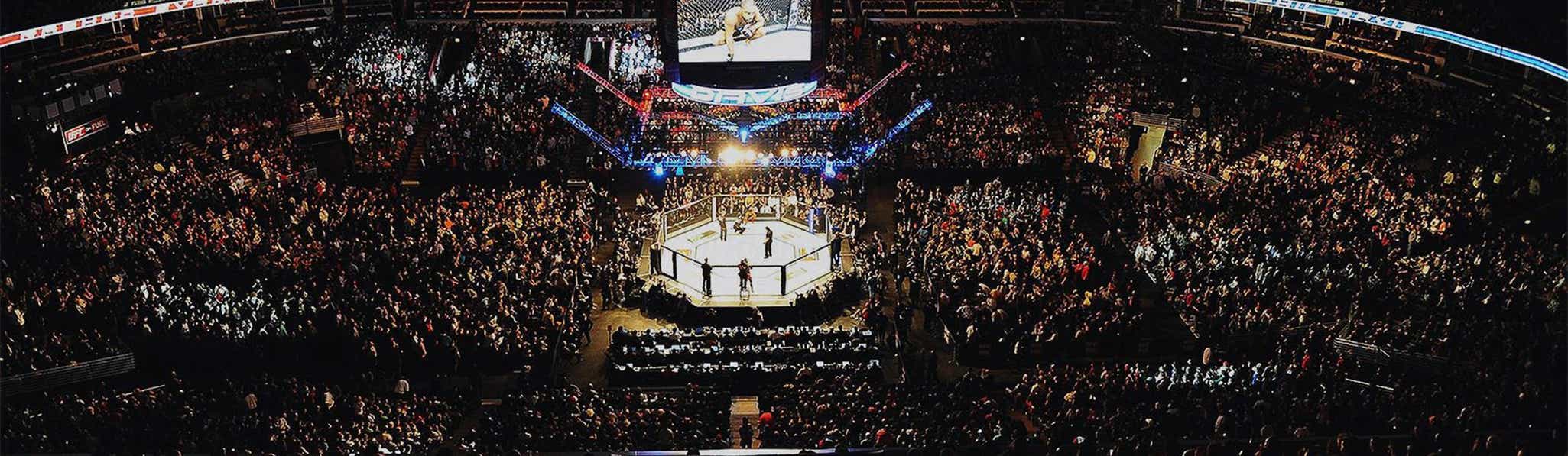 UFC 278 Tickets