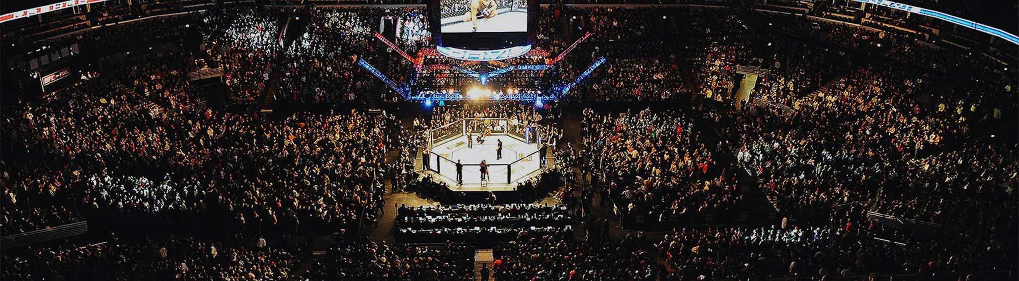 UFC 281 Tickets