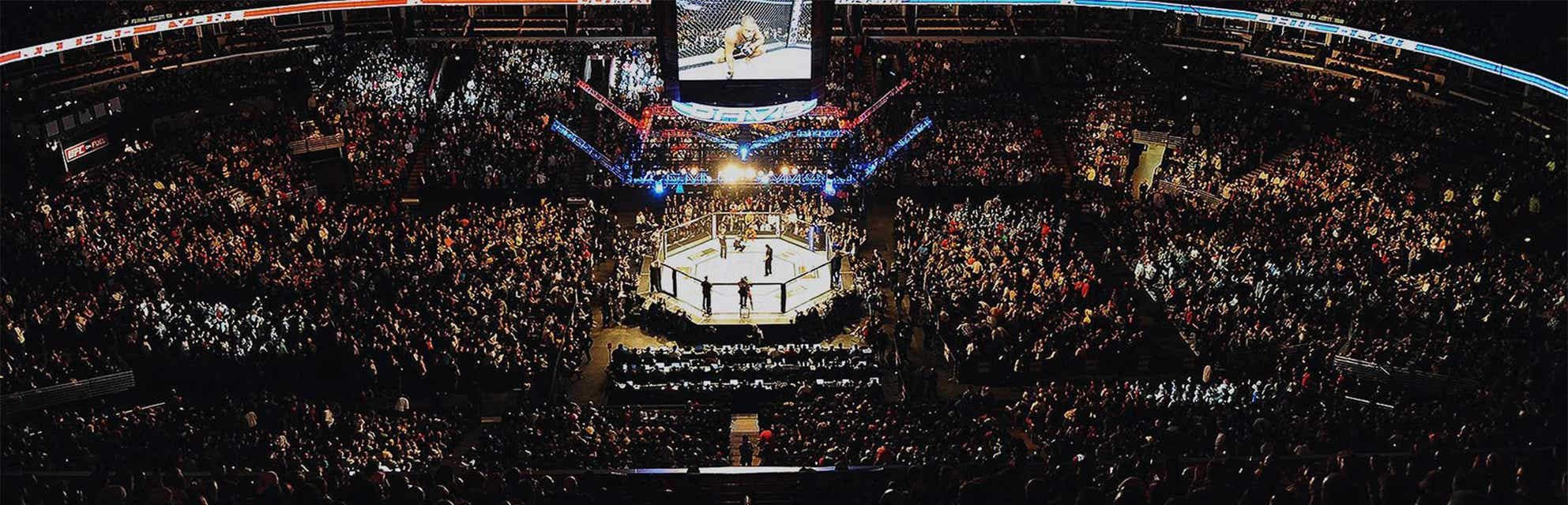 UFC 289 Tickets