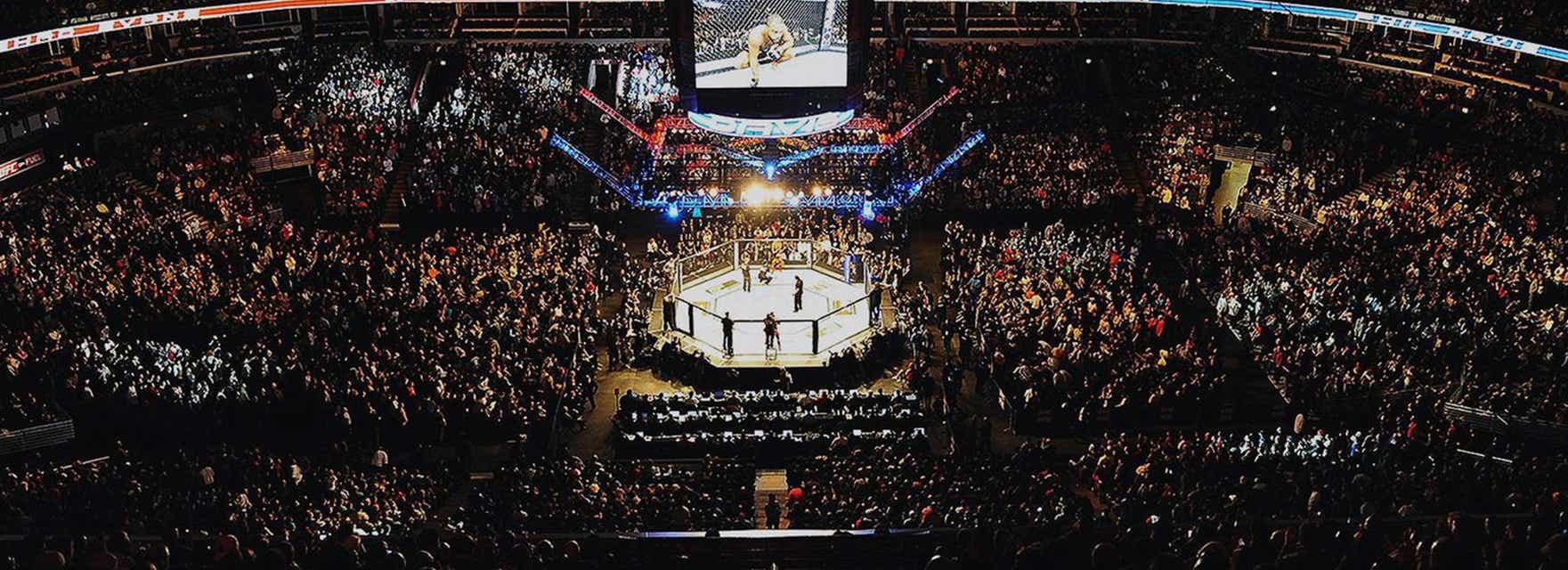 UFC 290 Tickets