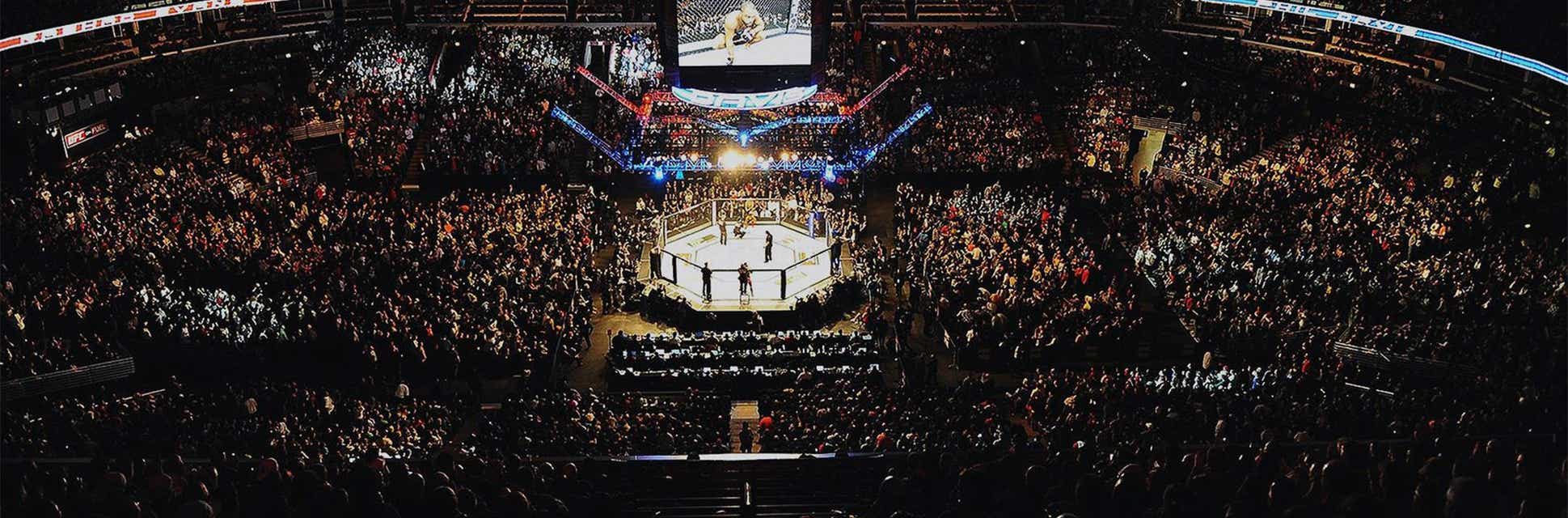 UFC 310 Tickets