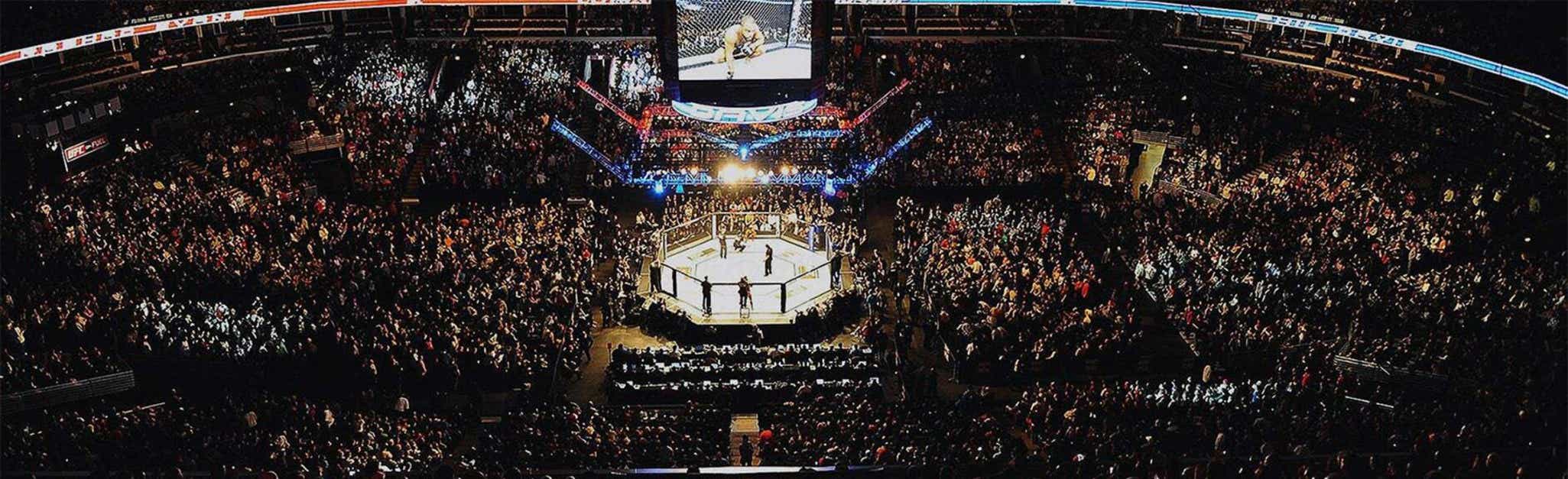 UFC 318 Tickets