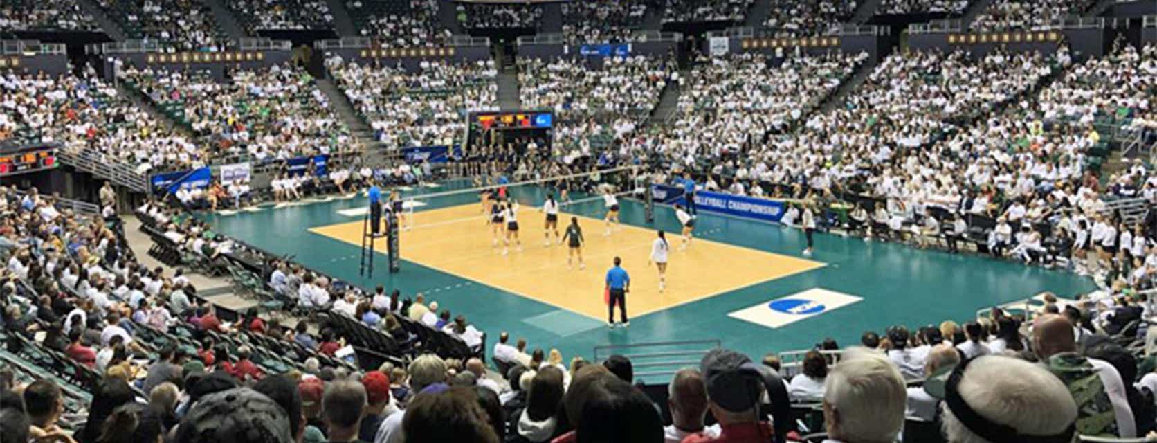 Hawaii Women's Volleyball Tickets