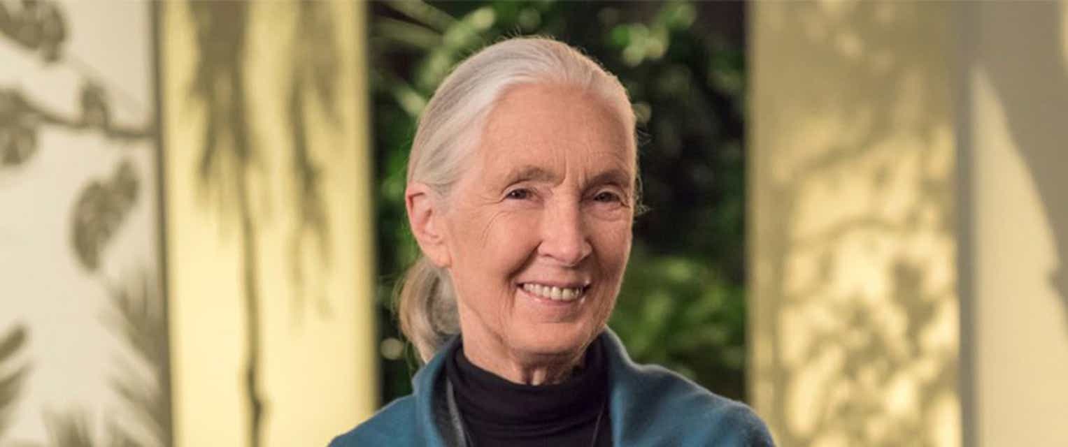 Dr. Jane Goodall Tickets
