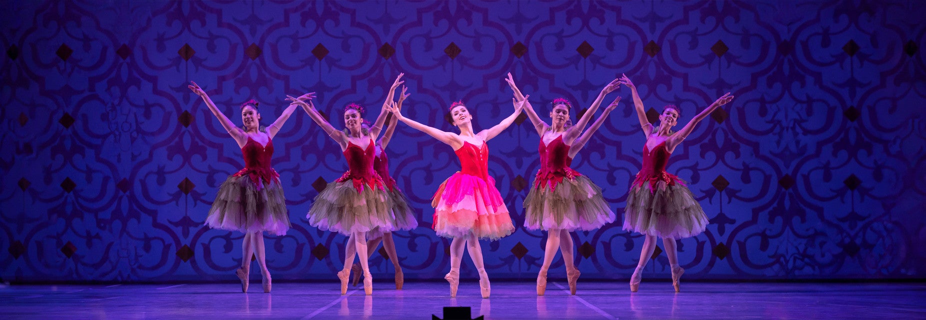 Ballet Virginia
