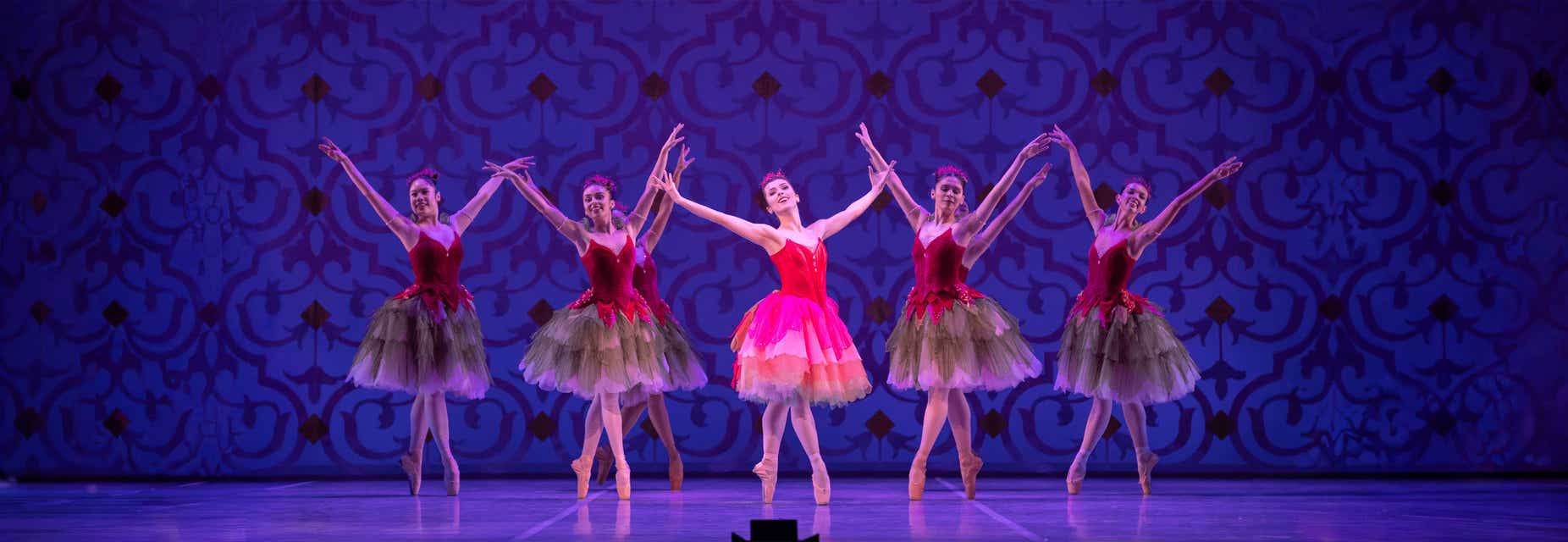 Ballet Virginia