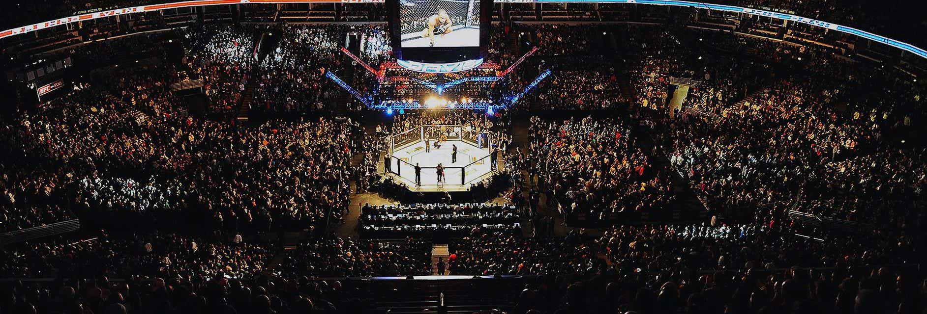 UFC 245