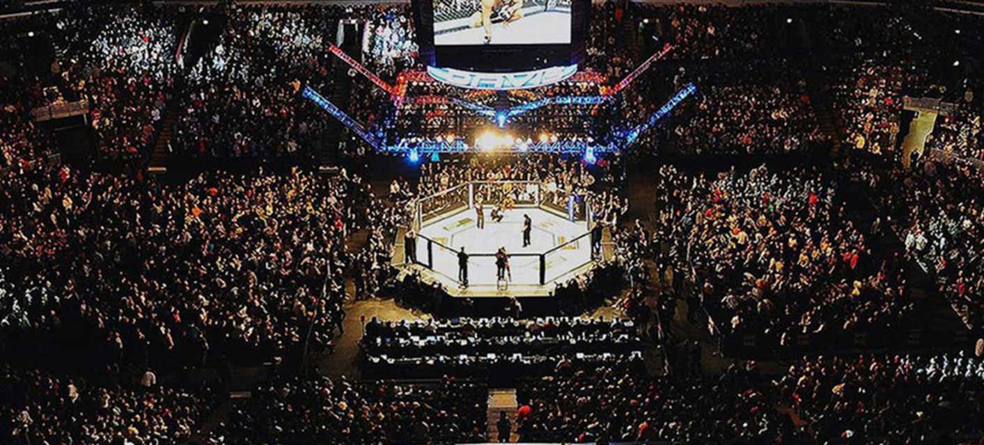 UFC 296