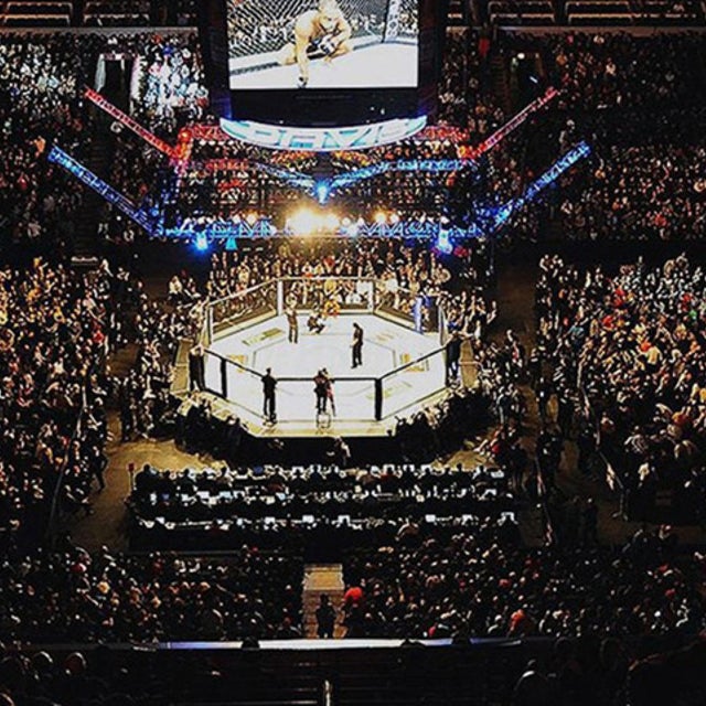 Cheap tickets for UFC 317 from affordable prices | Gametime