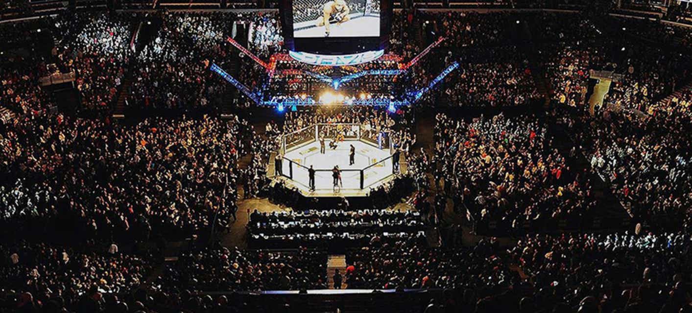 UFC - Ultimate Fighting Championship