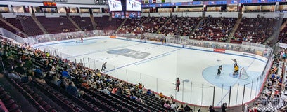Seat view from Arena