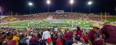 Seat view from Lower Premier