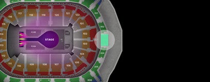 Seat view from Blue Goal