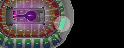 Seat view from Blue Goal