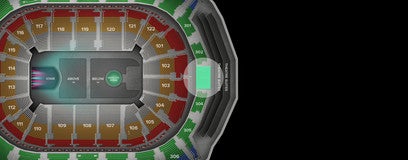 Seat view from Blue Goal