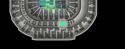 Seat view from Platinum