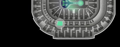 Seat view from Platinum