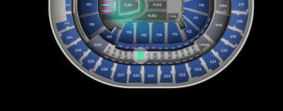 Seat view from Loge