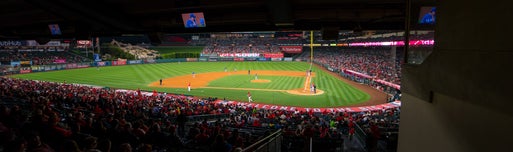 Seat view from Terrace MVP