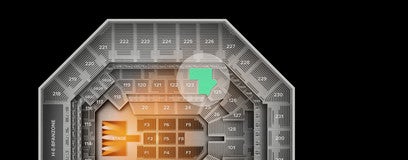 Seat view from Lower