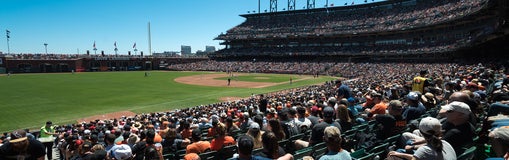 Seat view from Field Box