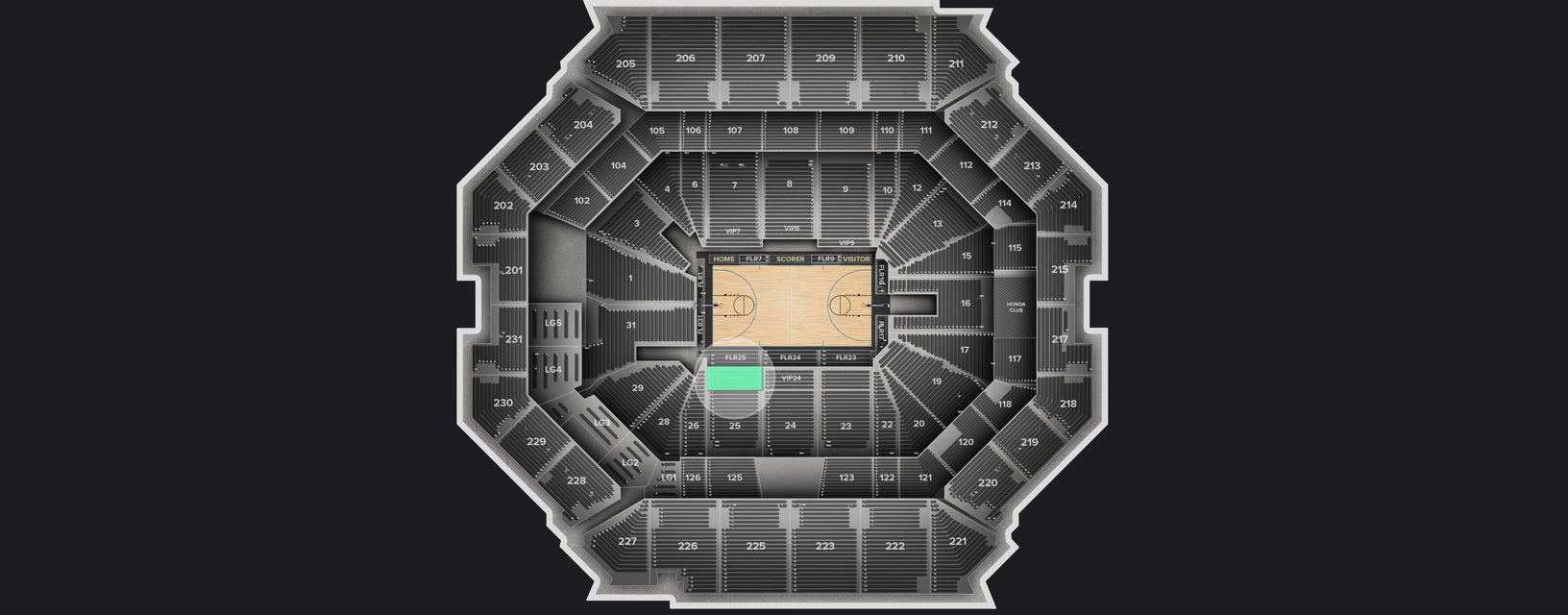 VIP 25