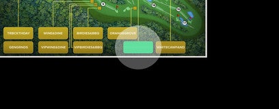 Seat view from Mc Palmer Patio