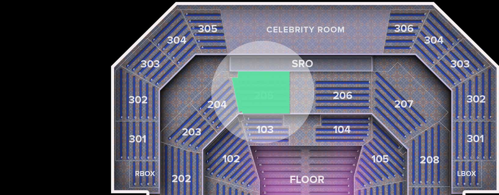 Seat view from 205