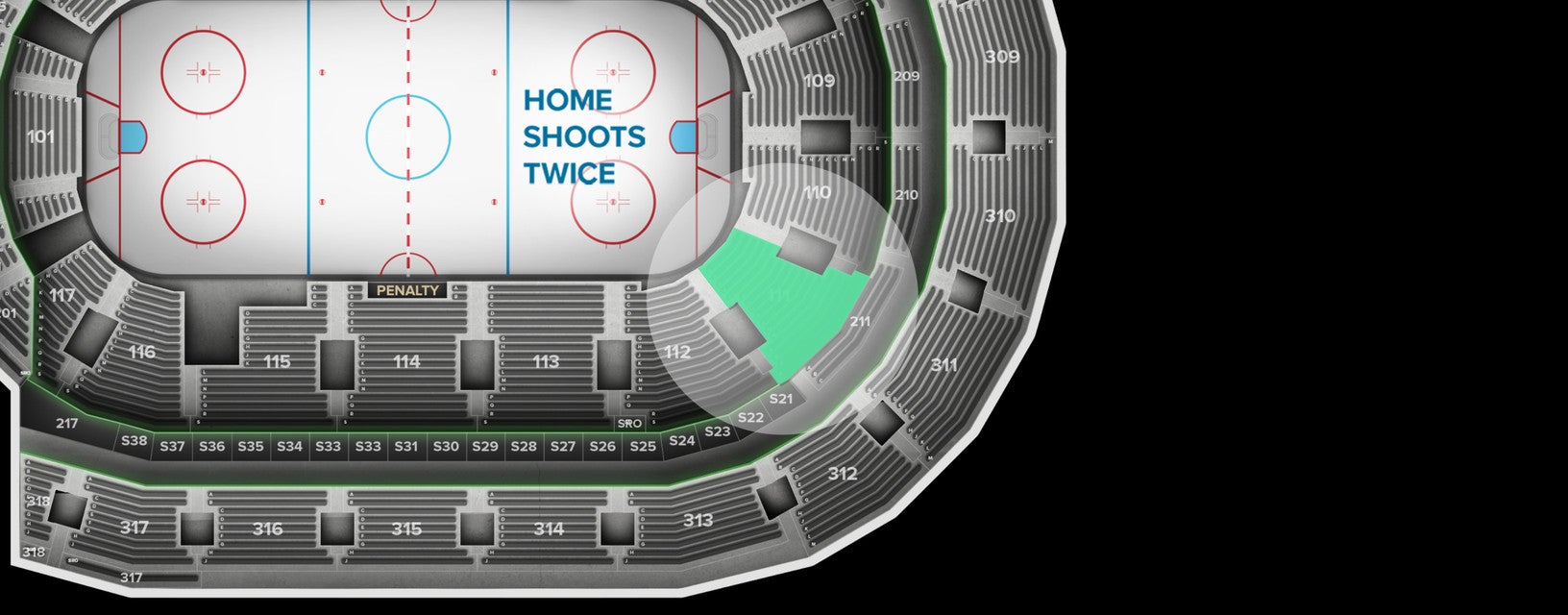 Seat view from Lower Goal
