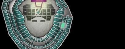 Seat view from Excelsior Level