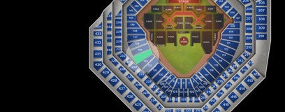Seat view from Baseline