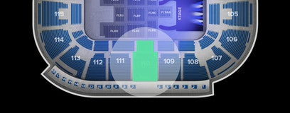 Seat view from Arena Level