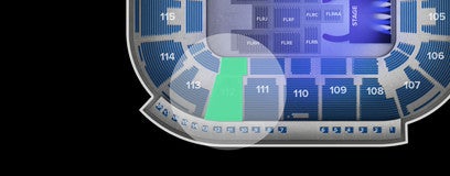 Seat view from Arena Level