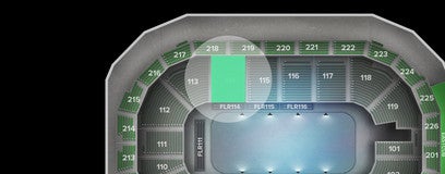 Seat view from Lower