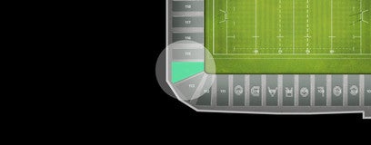 Seat view from South Endline