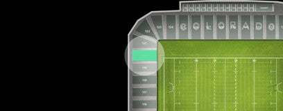 Seat view from South Endline