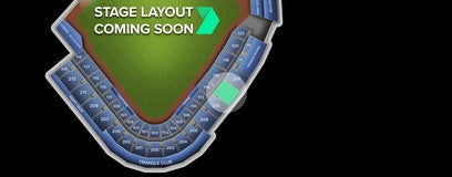 Seat view from Reserved Box