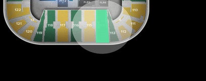 Seat view from Arena