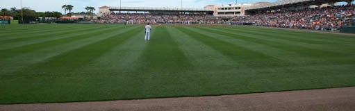 Seat view from Left Field Pavilion