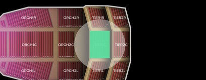 Seat view from Tier 1