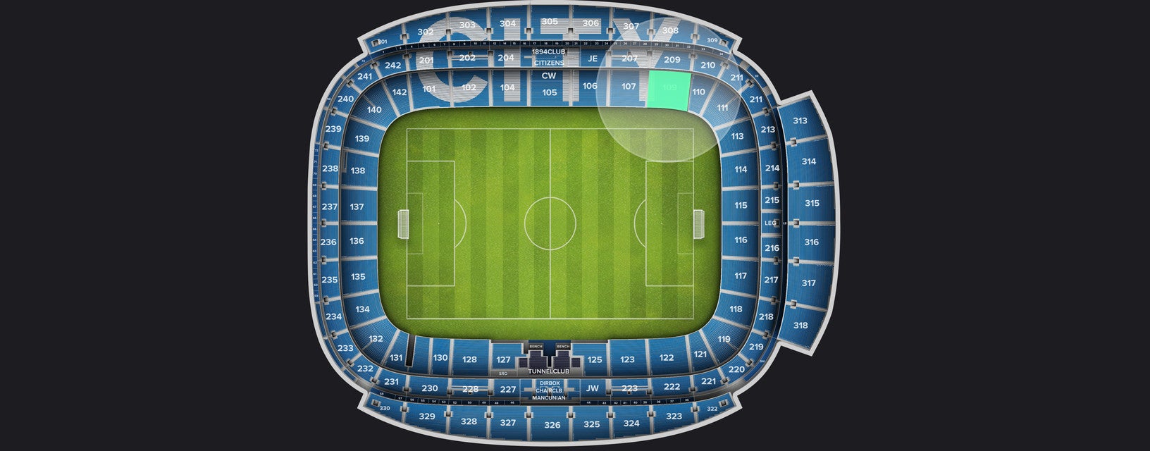 Seat view from Longside Lower