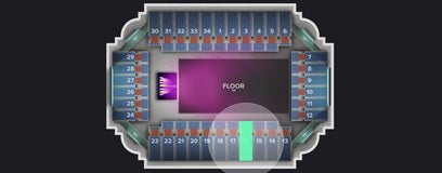 Seat view from Section