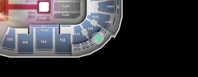Seat view from Loge