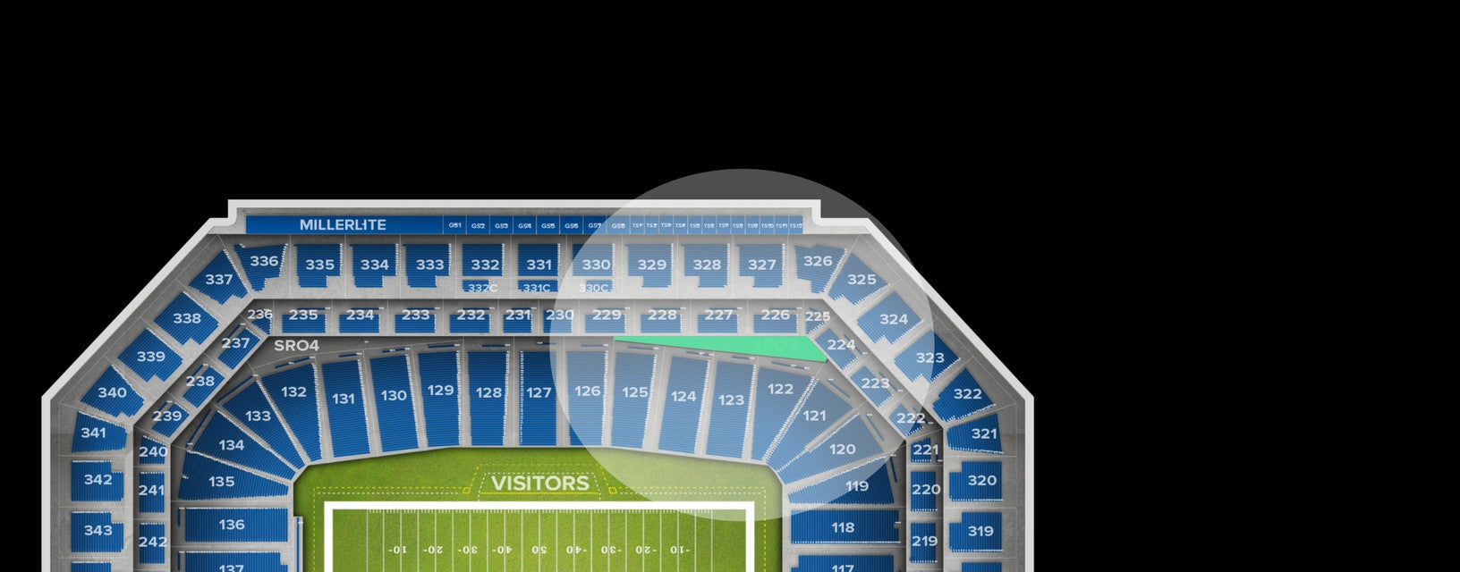 Seat view from Standing Room