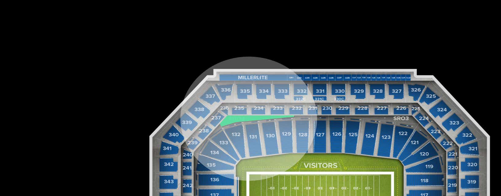 Seat view from Standing Room