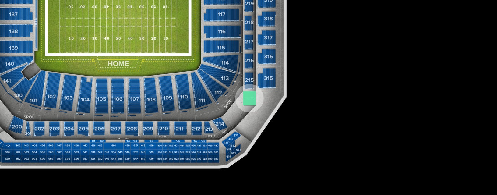 Seat view from Standing Room