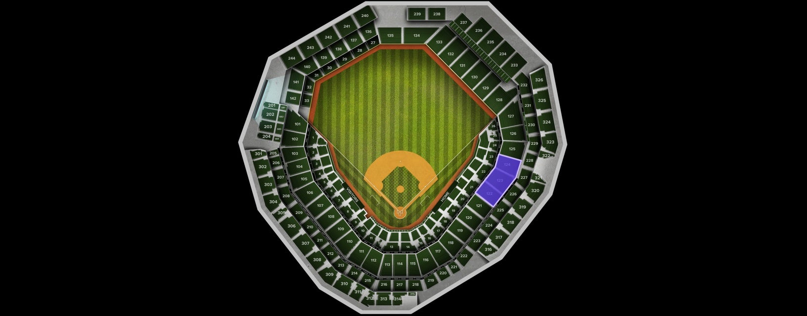 Seat view from Lower
